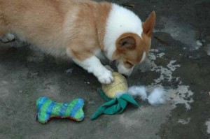 1380945260-744132885