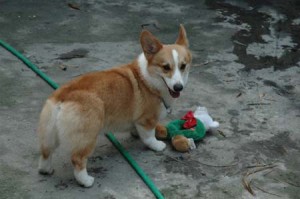 1380945261-4092304782