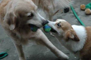 1380945261-438973954