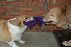 1380945262-1034406768