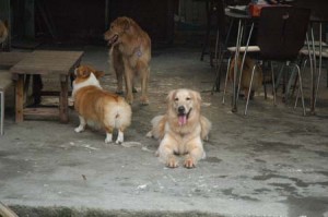 1380945262-1958238064