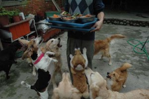 1380945266-1436735479