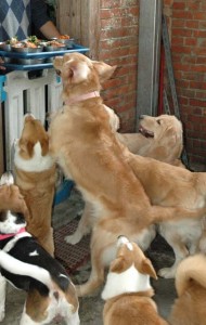 1380945266-148021928