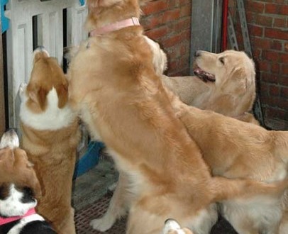 1380945266-148021928