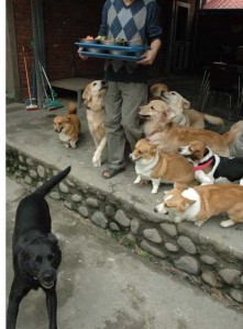 1380945266-3598659304