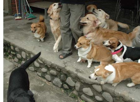 1380945266-3598659304