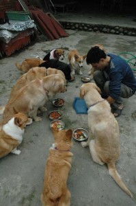 1380945272-1007782309