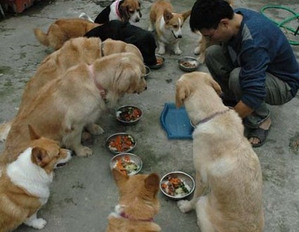 1380945272-1007782309