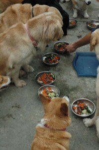 1380945273-1906736632