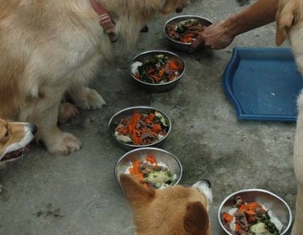 1380945273-1906736632