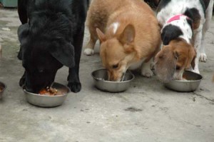 1380945274-1612083615