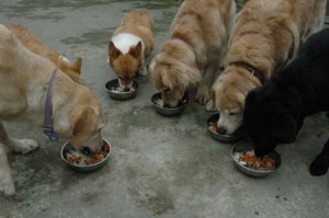 1380945274-268498750