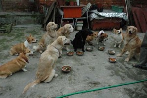 1380945274-3804784582