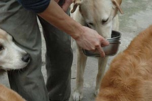 1380945275-476574156