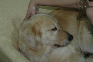 1380945292-2660990591