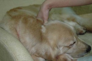 1380945292-3426924478