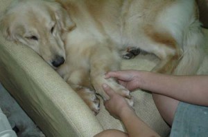 1380945293-2297304550