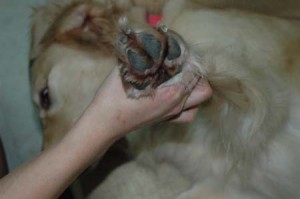 1380945294-883816063