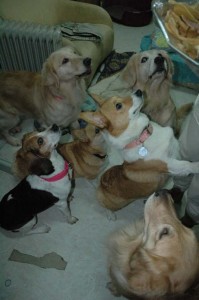 1380945302-1720318683