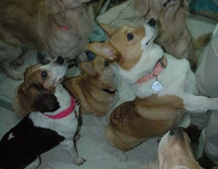 1380945302-1720318683