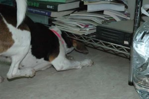 1380945303-2313351148