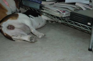 1380945303-2515298250