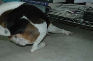 1380945303-2691497221