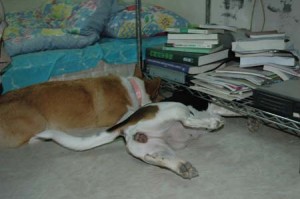 1380945304-1027375358