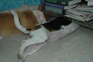 1380945304-329687941