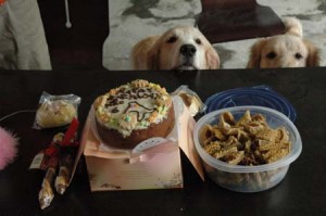 1380945306-1597190042