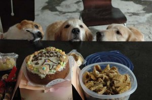 1380945306-3677340123