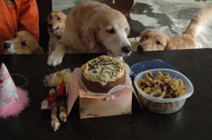 1380945307-1729713265