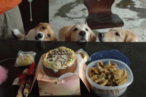 1380945307-4284152496