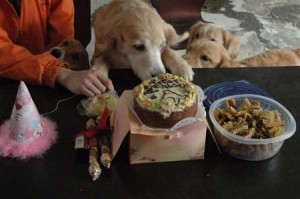 1380945307-624877545