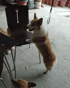 1380945308-3312618285