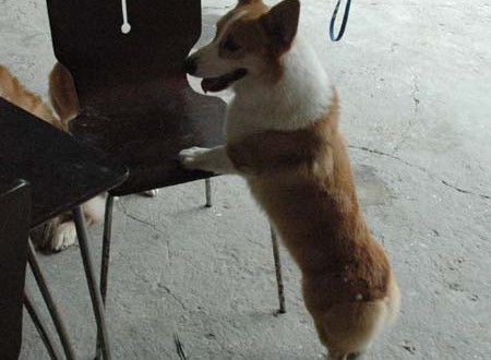 1380945308-3312618285