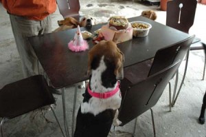 1380945308-4225727798