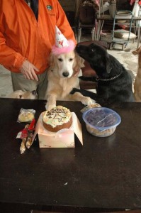 1380945309-3891732900