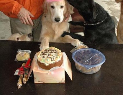 1380945309-3891732900