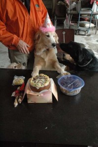 1380945309-4072694290