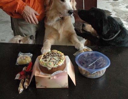 1380945309-4072694290