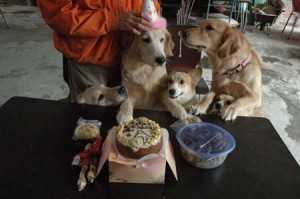 1380945309-631501034