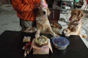 1380945310-2642720478