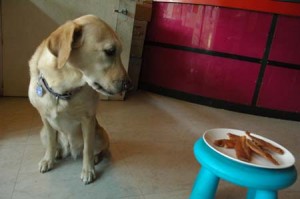 1380945325-3423695418