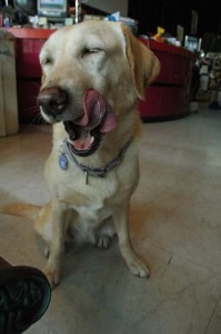 1380945326-1266544830