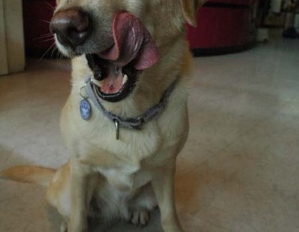 1380945326-1266544830