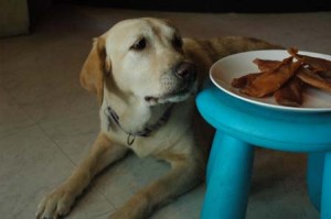 1380945326-1945020752