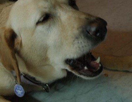 1380945328-250450538