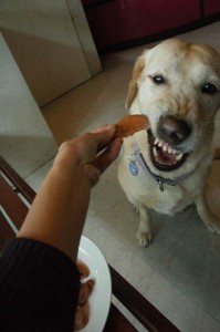 1380945328-2504627080