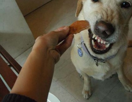 1380945328-2504627080